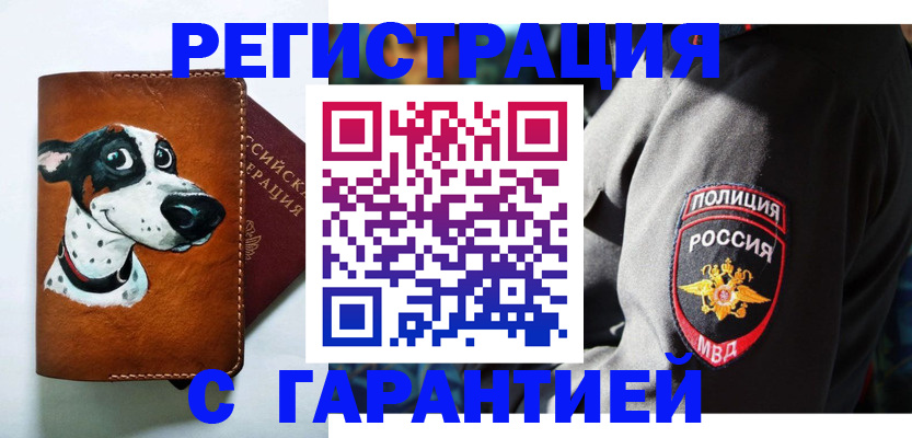 прописка в Нижнем Новгороде